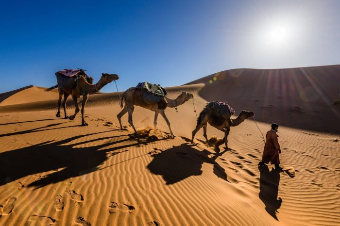 9 days in morocco – Top 4  different itineraries