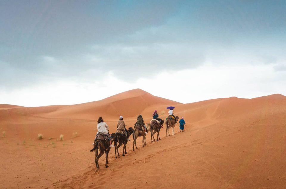 Camel Ride in Morocco - The Ultimate Guide 2022/2023